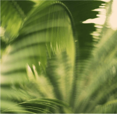 Best Baby Eczema Products: Safe & Effective Picks for Infants - Phoilex