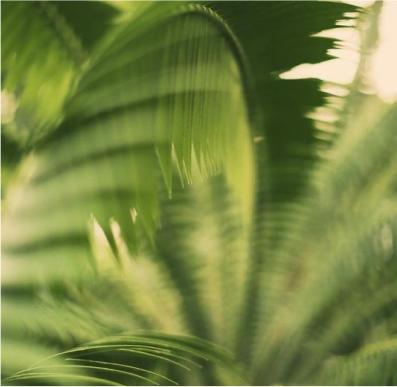 Best Baby Eczema Products: Safe & Effective Picks for Infants