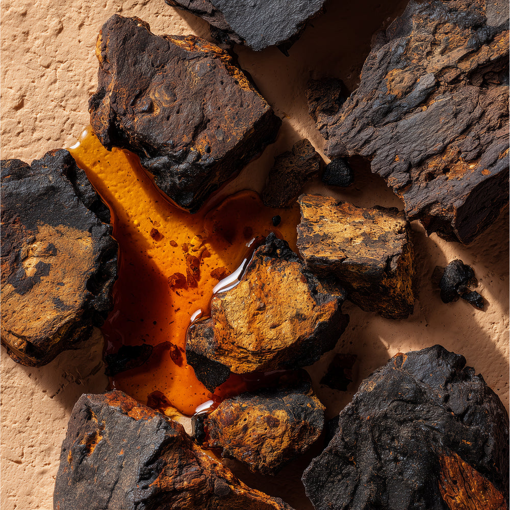 CHAGA MUSHROOM EXTRACT